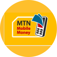 MTN Mobile Money (MoMo) Payment Provider